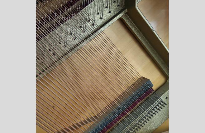 Rippen Dark Oak Wood Largo Upright Piano, Used - All Inclusive Premium Package (SN:130345) - Image 14